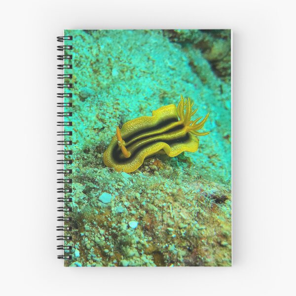 Item preview, Pumpkin Nudibranch designed and sold by likbatonboot.