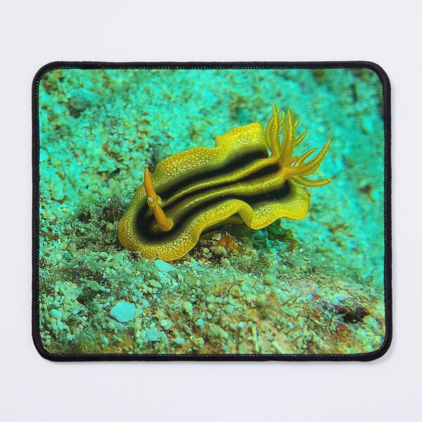 Item preview, Pumpkin Nudibranch designed and sold by likbatonboot.