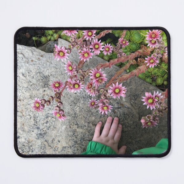 Item preview, Child’s POV designed and sold by CedarBrookAcres.