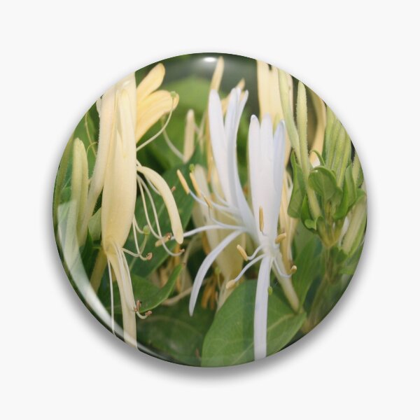 Item preview, Closeup Of Lonicera European Honeysuckle Flower designed and sold by taiche.