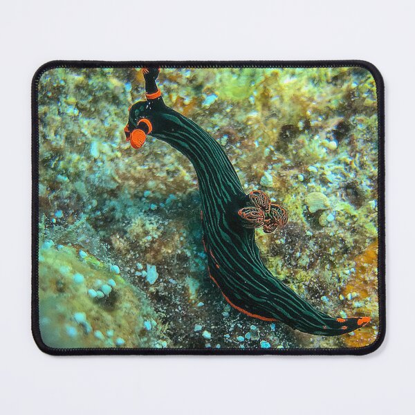 Item preview, Nembrotha kubaryana nudibranch designed and sold by likbatonboot.