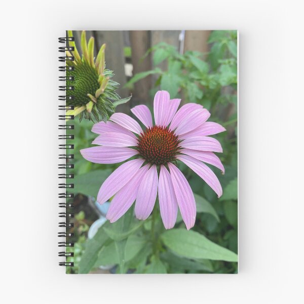 Item preview, Echinacea designed and sold by CedarBrookAcres.