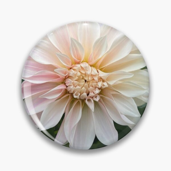 Item preview, Café au Lait designed and sold by CedarBrookAcres.