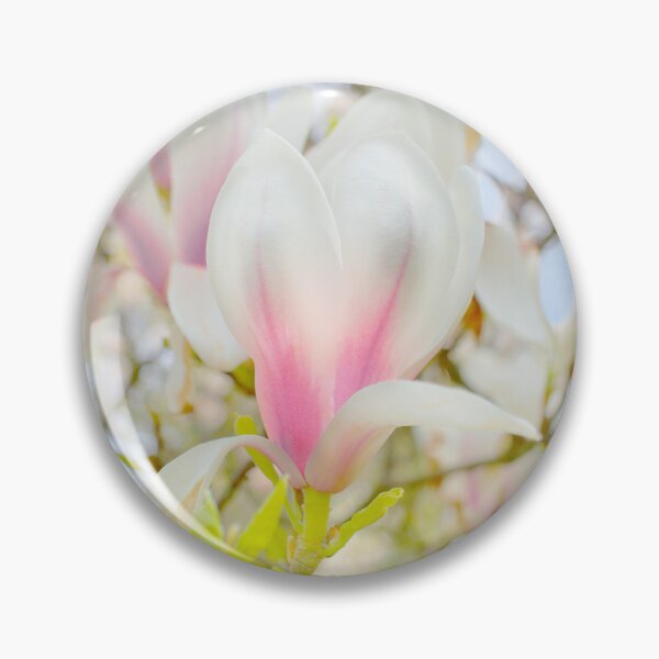 Item preview, Magnolia Blossom designed and sold by Alisonchambers2.