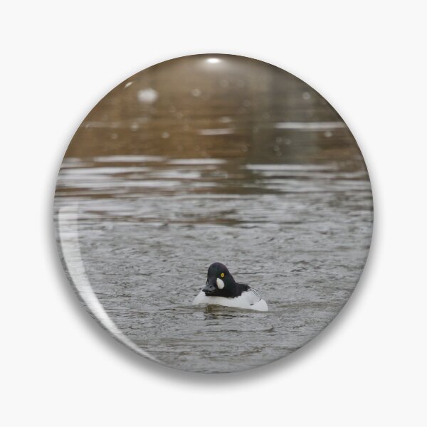 Item preview, In the stream. Common goldeneye designed and sold by Jouko Lehto Photography.