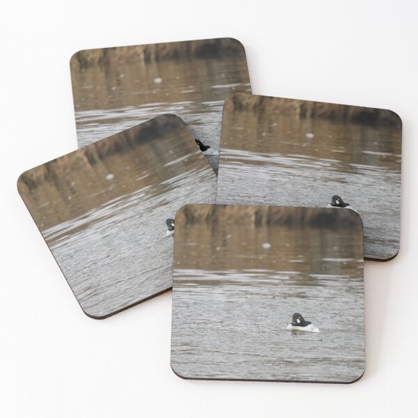 Item preview, In the stream. Common goldeneye designed and sold by Jouko Lehto Photography.