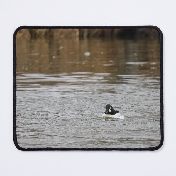 Item preview, In the stream. Common goldeneye designed and sold by Jouko Lehto Photography.