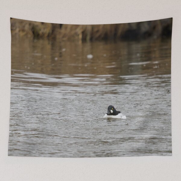 Item preview, In the stream. Common goldeneye designed and sold by Jouko Lehto Photography.