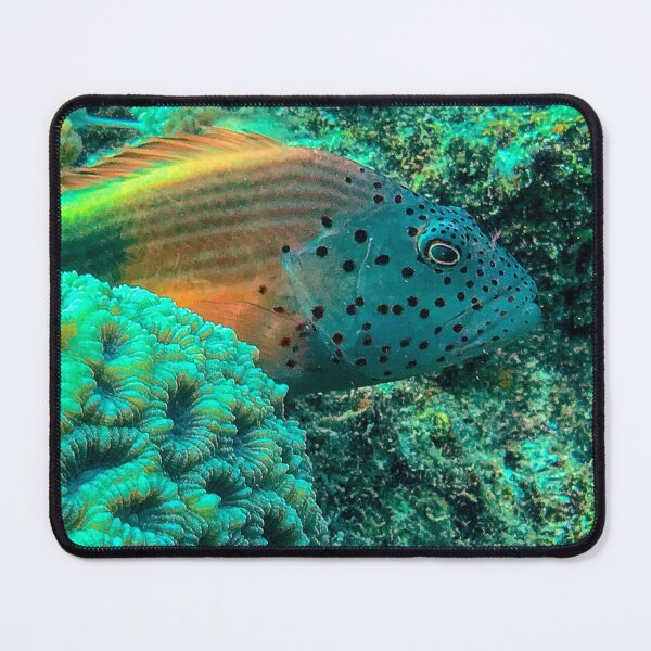 Item preview, Freckled hawkfish designed and sold by likbatonboot.