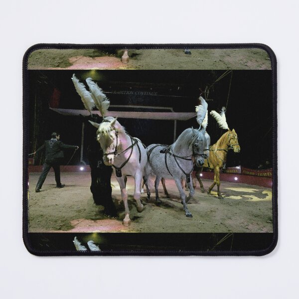Item preview, vr 3647 / finition 2024 - 6 " le Merveilleux Cirque Claudio Zavatta et ses Chevaux " Okaio-Umin Créations Olavia-Olao designed and sold by o.okaïo.