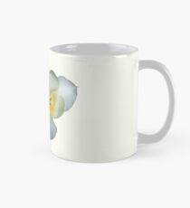 Pale Yellow Tulips After the Rain Mug