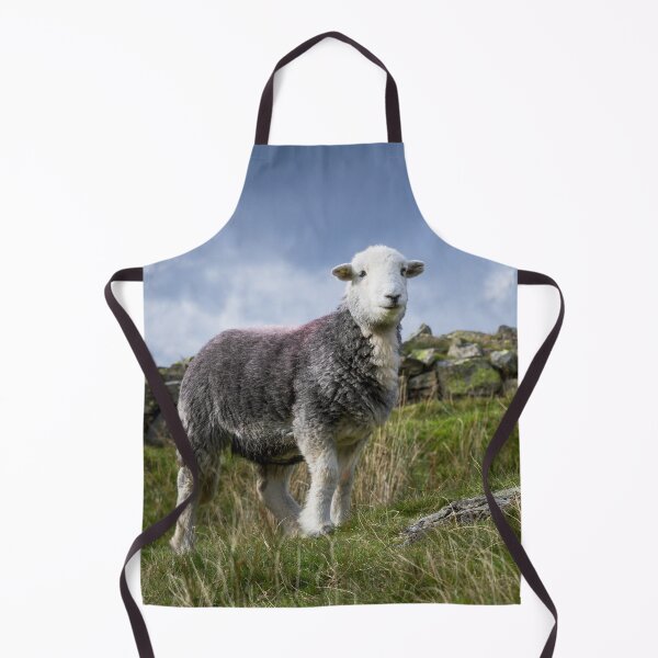 Item preview, Happy Herdwick designed and sold by Jane Stanley Photography.