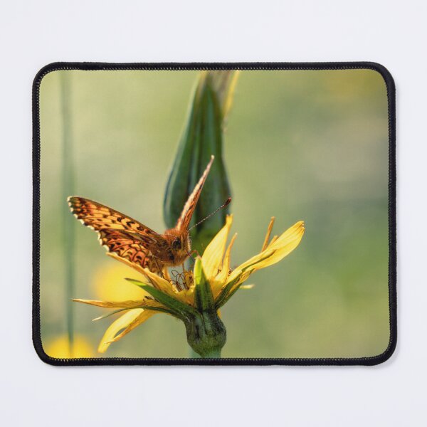 Item preview, Beautifull Titania's fritillary butterfly designed and sold by Koolmees.