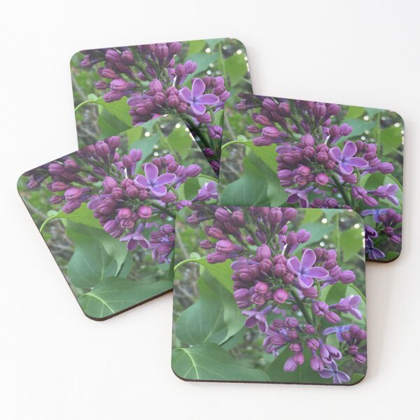 Item preview, Flowers of spring in the garden *Lilac flower, Orgona, Anyáknapja, Mother Days * BIPHOTO designed and sold by BIPHOTONEWS.