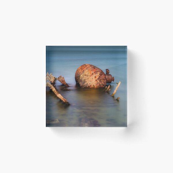 Item preview, Not much left designed and sold by Jan Fijolek.