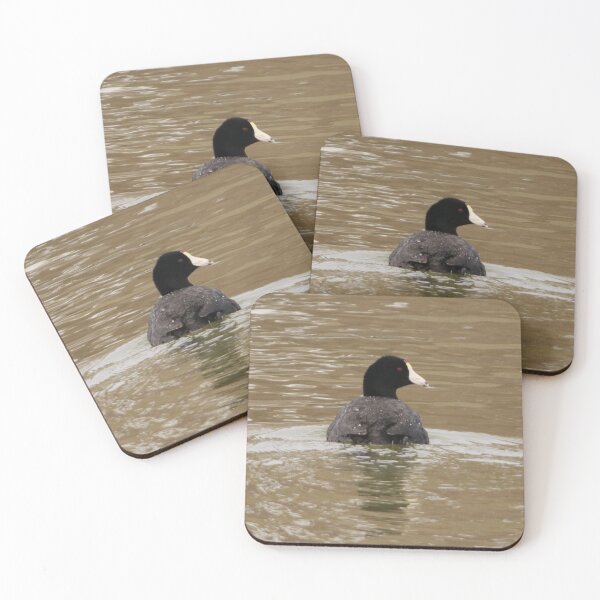 Item preview, American Coot designed and sold by Alyce Taylor.