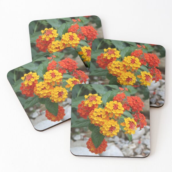 Item preview, Macro Of Shrub Verbenas or Lantanas (Lantana Camara)  designed and sold by taiche.