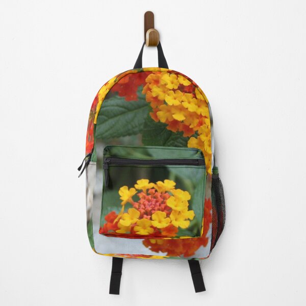 Item preview, Macro Of Shrub Verbenas or Lantanas (Lantana Camara)  designed and sold by taiche.