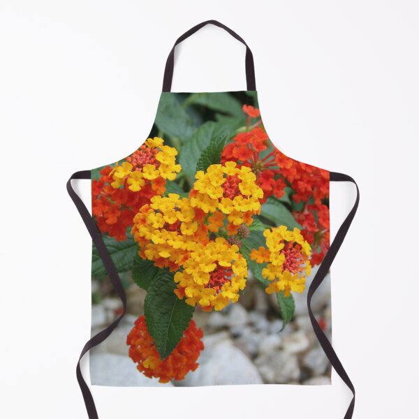 Item preview, Macro Of Shrub Verbenas or Lantanas (Lantana Camara) designed and sold by taiche.