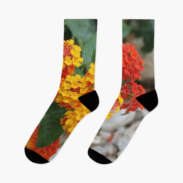 Item preview, Macro Of Shrub Verbenas or Lantanas (Lantana Camara)  designed and sold by taiche.