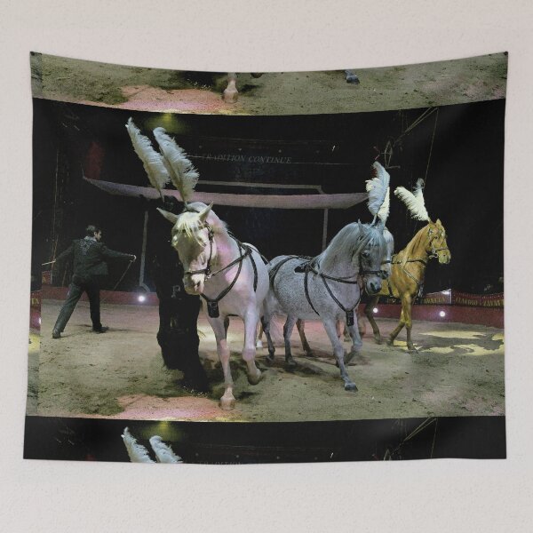 Item preview, vr 3647 / finition 2024 -  6  " le Merveilleux Cirque Claudio Zavatta et ses Chevaux " Okaio-Umin Créations Olavia-Olao designed and sold by o.okaïo.
