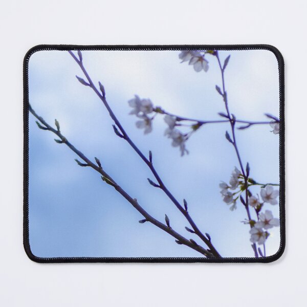 Item preview, Cherry Blossoms Blooming designed and sold by DonnaMariePhoto.