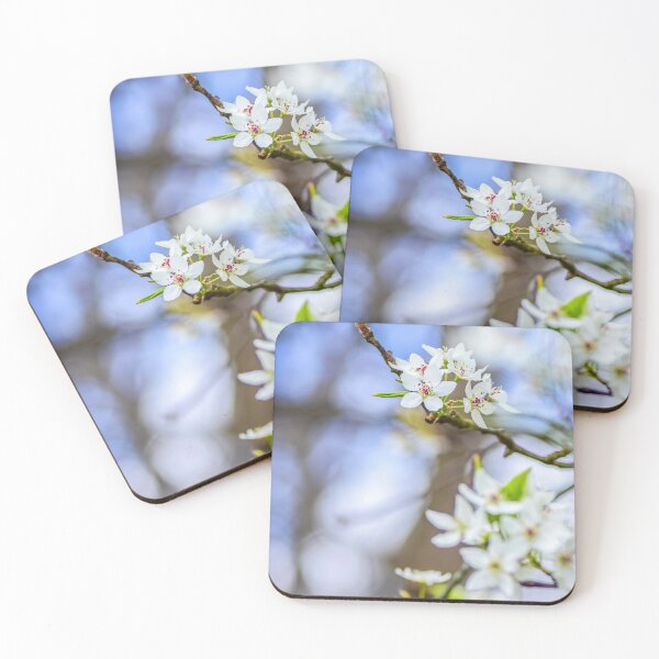 Aperçu de l'œuvre Fleurs de cerisier créée et vendue par DonnaMariePhoto.