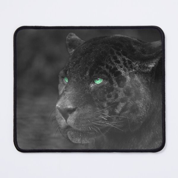 Item preview, Black Jaguars Emerald Gaze designed and sold by rawshutterbug.