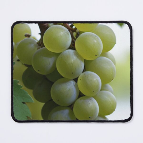 Item preview, Grapevine Grapes Green designed and sold by Sidney Graf.