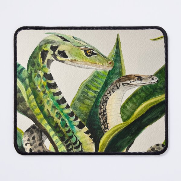 Item preview, Snake Plant Watercolor Painting on Paper designed and sold by artbybri7.