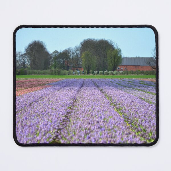 Item preview, Dutch bulb fields designed and sold by Vanja Rosenthal.
