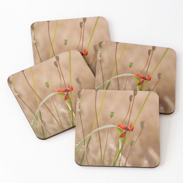 Item preview, The Last Gasp designed and sold by AmandaJanePhoto.