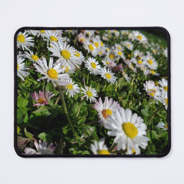 Item preview, white flowers designed and sold by Larart-F-B.