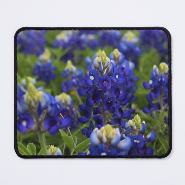 Item preview, Bluebonnet field designed and sold by Fizlogo.