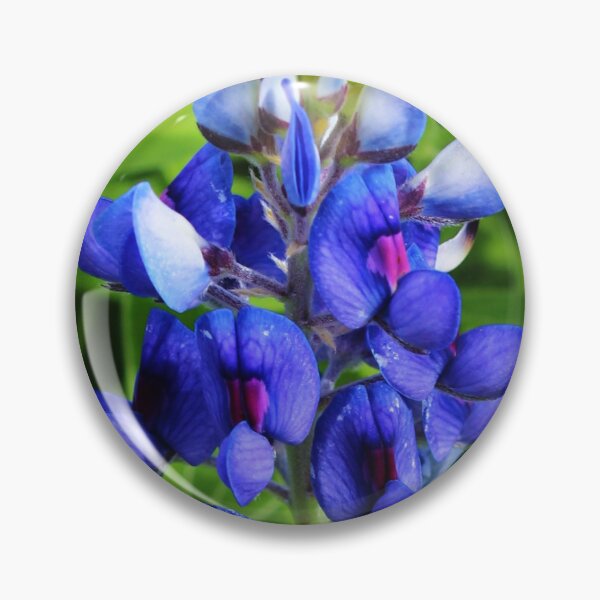 Item preview, Single Bluebonnet designed and sold by Fizlogo.