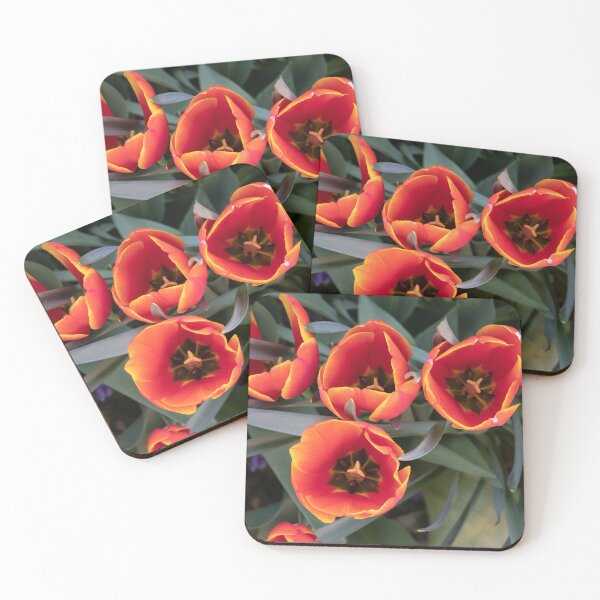 Item preview, Tulips designed and sold by Fizlogo.