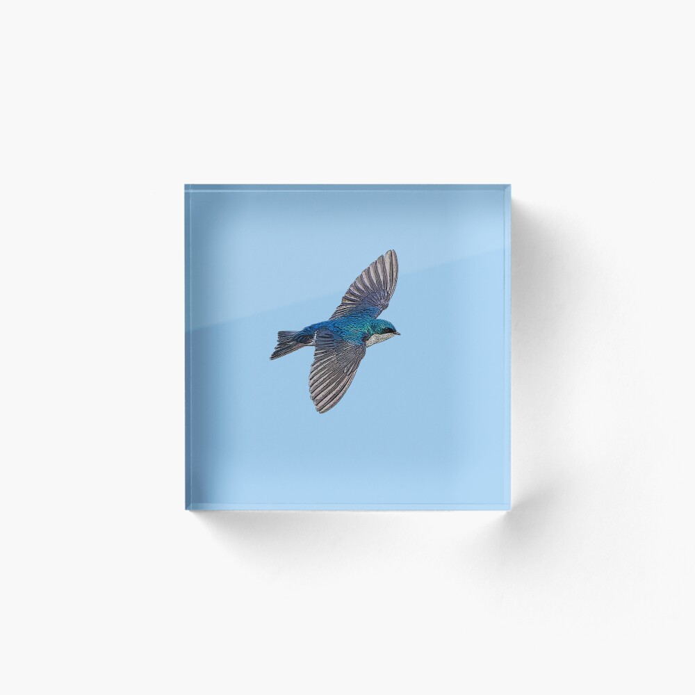 Item preview, Acrylic Block designed and sold by designsasstultd.