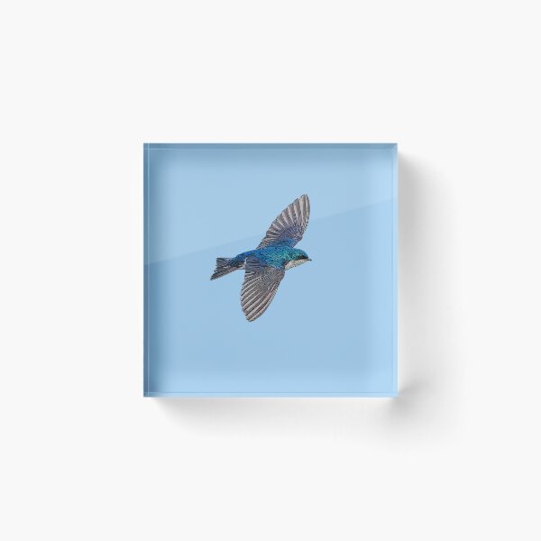 Item preview, Tree Swallow Color Design  designed and sold by designsasstultd.