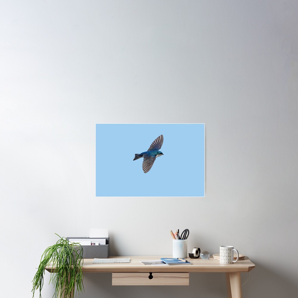 Item preview, Poster designed and sold by designsasstultd.