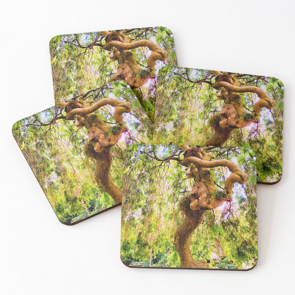 Item preview, Trees Can't Pirouette! designed and sold by lightworks.