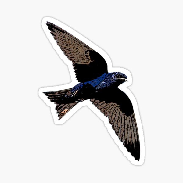 Item preview, Purple Martin Color Design  designed and sold by designsasstultd.