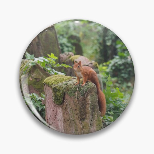 Item preview, Red Squirrel designed and sold by Anna Fairley Nielsson.