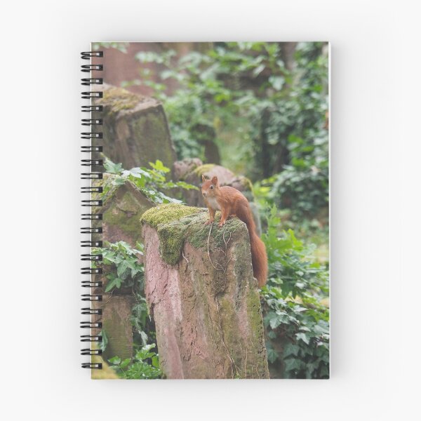Item preview, Red Squirrel designed and sold by Anna Fairley Nielsson.