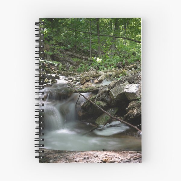 Artikelvorschau, Wasserfall, der in einen Teich in einem Wald stürzt entworfen und verkauft von jrtwynam.