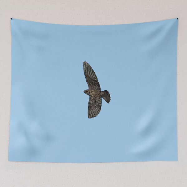 Item preview, Northern Rough Winged Swallow Black Alternate Design  designed and sold by designsasstultd.