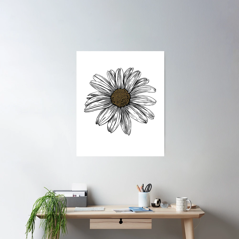 Daisy Flower Illustration for Daisy Lovers