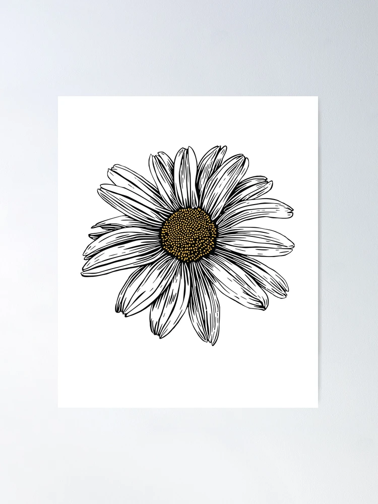 Daisy Flower Illustration for Daisy Lovers