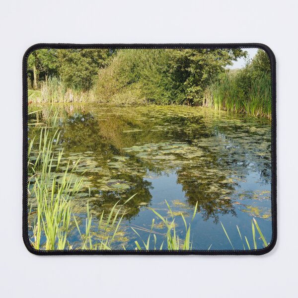 Item preview, Sunlit Summer Pond designed and sold by Stephen Frost.