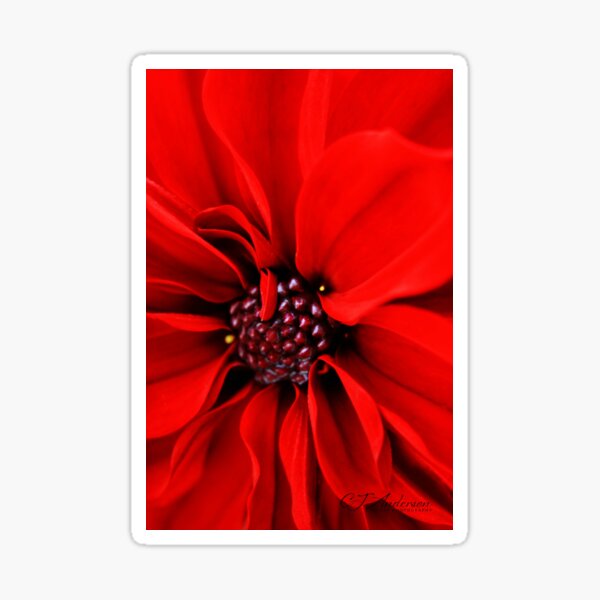Item preview, Rosso Sangue designed and sold by CJ Anderson.