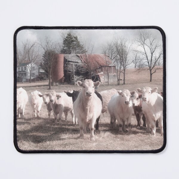 Item preview, Cautiously A Representative Approaches designed and sold by Jim Love.